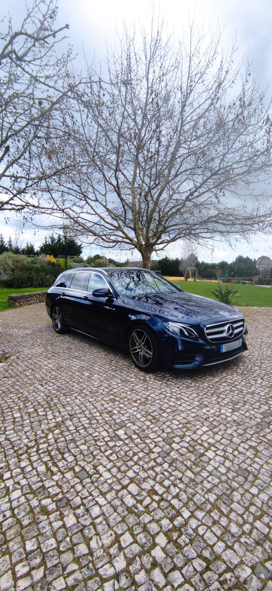 mercedesc
